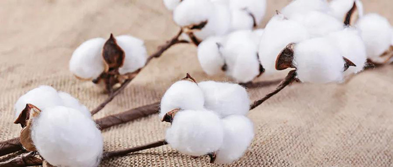 廣電計量紡織品檢測服務(wù)，與您共同致力國貨質(zhì)量提升。