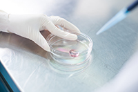 營(yíng)養(yǎng)成份檢測(cè)及常規(guī)理化檢測(cè)